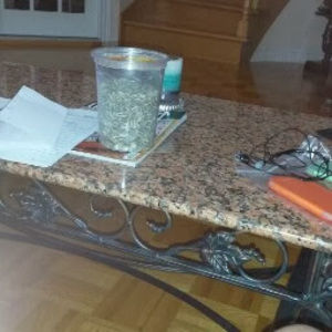 Meet your Posher, Amnath